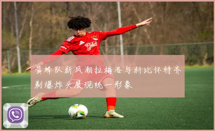 黄蜂队新风潮拉梅洛与科比怀特齐剃爆炸头展现统一形象